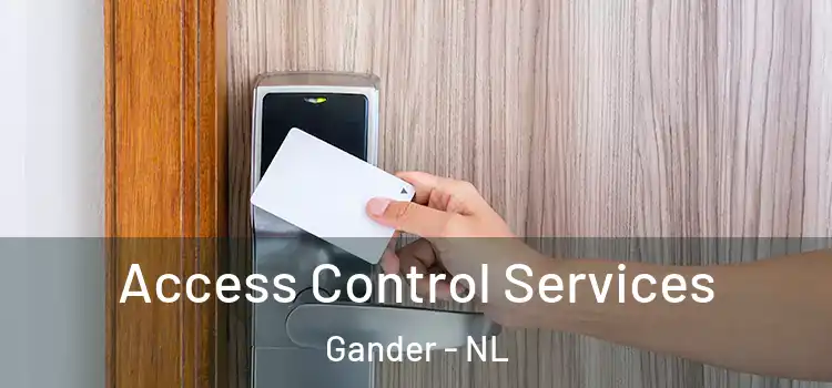  Access Control Services Gander - NL