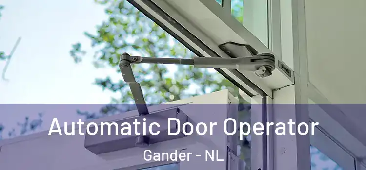  Automatic Door Operator Gander - NL