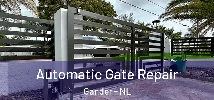 Automatic Gate Repair Gander - NL