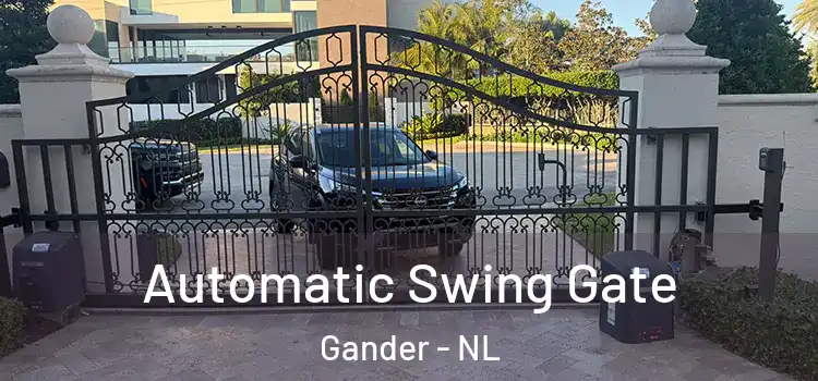Automatic Swing Gate Gander - NL
