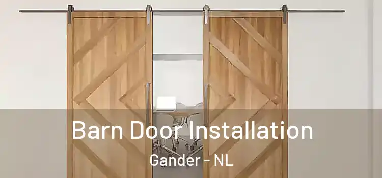  Barn Door Installation Gander - NL