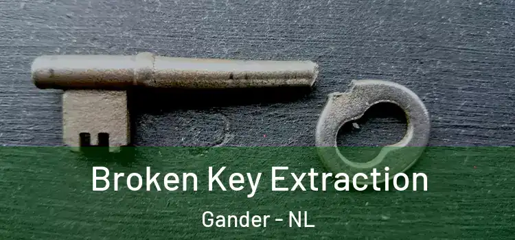 Broken Key Extraction Gander - NL