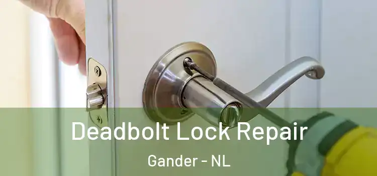 Deadbolt Lock Repair Gander - NL