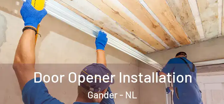 Door Opener Installation Gander - NL