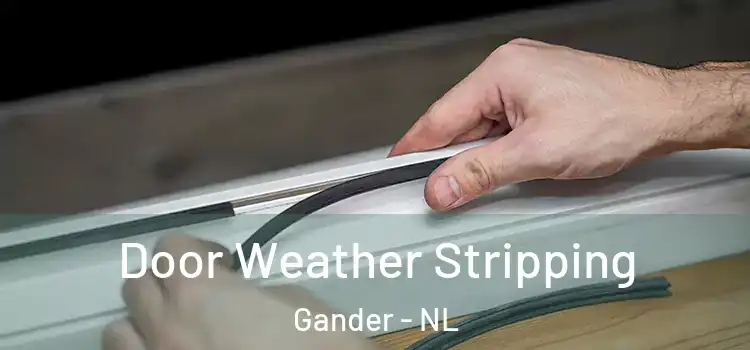 Door Weather Stripping Gander - NL