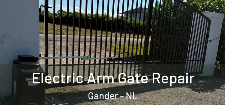  Electric Arm Gate Repair Gander - NL