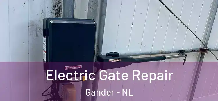  Electric Gate Repair Gander - NL