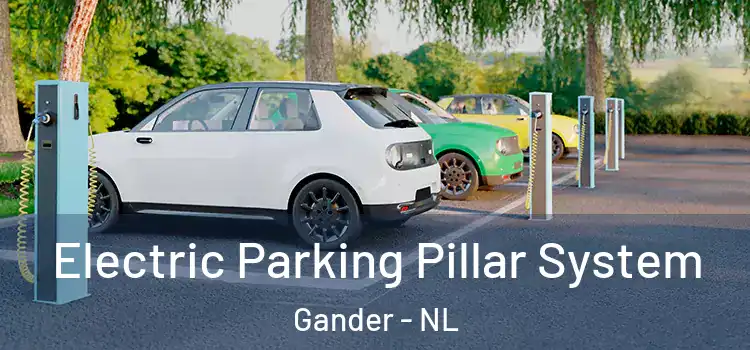 Electric Parking Pillar System Gander - NL