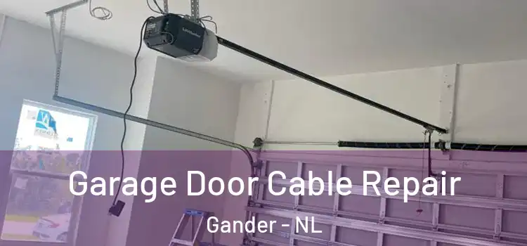  Garage Door Cable Repair Gander - NL