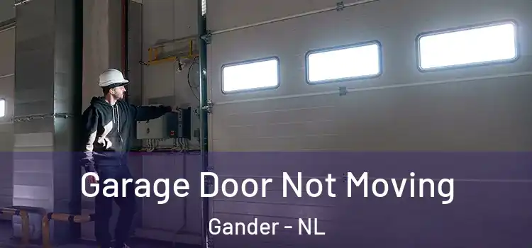  Garage Door Not Moving Gander - NL