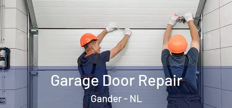  Garage Door Repair Gander - NL