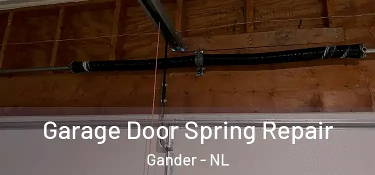  Garage Door Spring Repair Gander - NL