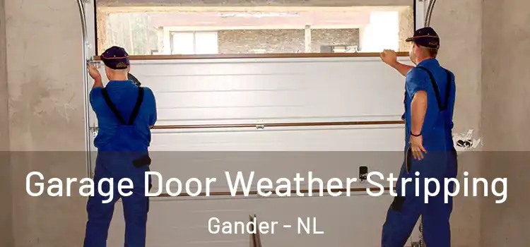  Garage Door Weather Stripping Gander - NL