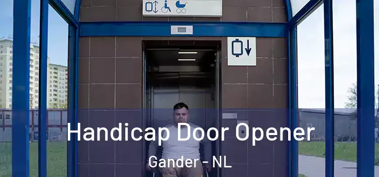  Handicap Door Opener Gander - NL