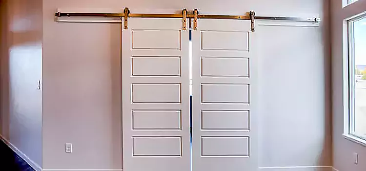 Glass Barn Door with Installation Hardware Kit Gander