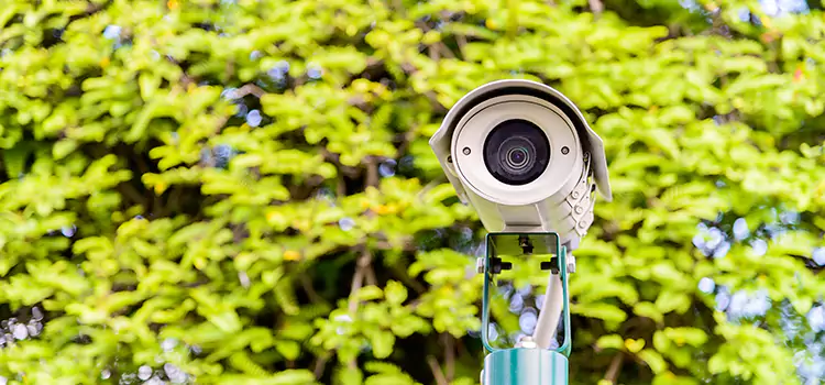 Advanced Surveillance Solutions for Every Need in Gander