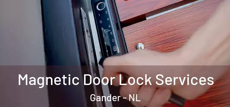 Magnetic Door Lock Services Gander - NL