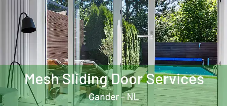Mesh Sliding Door Services Gander - NL