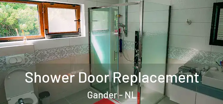  Shower Door Replacement Gander - NL