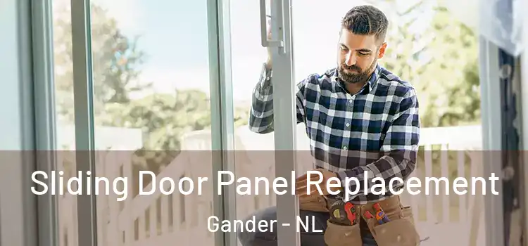  Sliding Door Panel Replacement Gander - NL