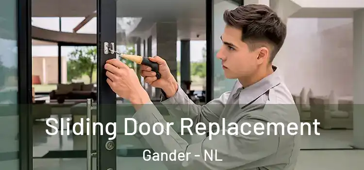  Sliding Door Replacement Gander - NL