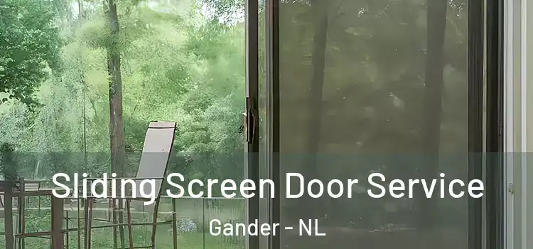 Sliding Screen Door Service Gander - NL